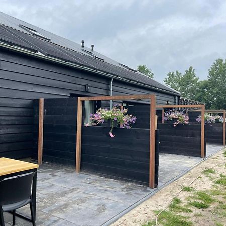 Cozy Holiday Home In Vrouwenpolder Close To The Beach المظهر الخارجي الصورة